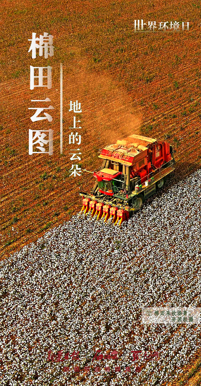 世界環(huán)境日丨看新疆的“綠色”答卷