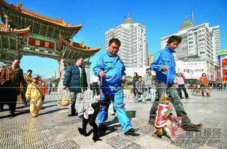 長臂猿牽手猴哥進(jìn)城辦年貨 順路給市民拜早年